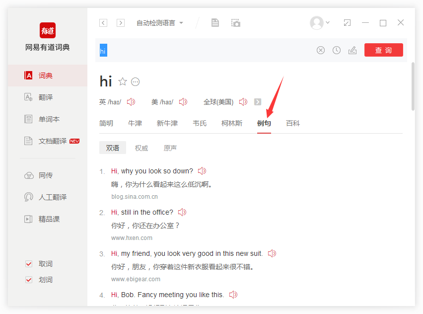有道权威语料库查询界面